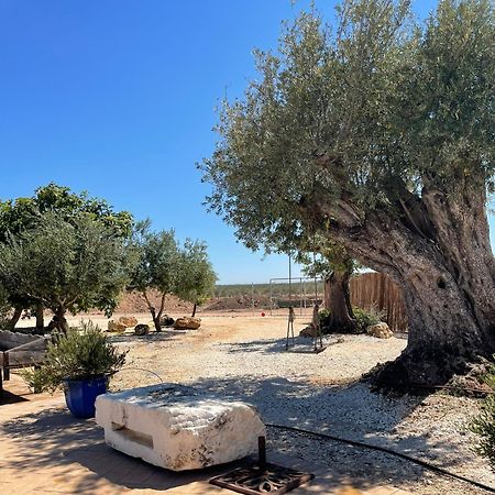 La Casa Del Olivo Villa Écija Exteriör bild