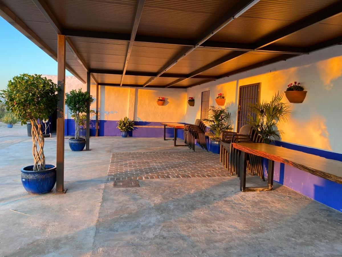 La Casa Del Olivo Villa Écija Exteriör bild