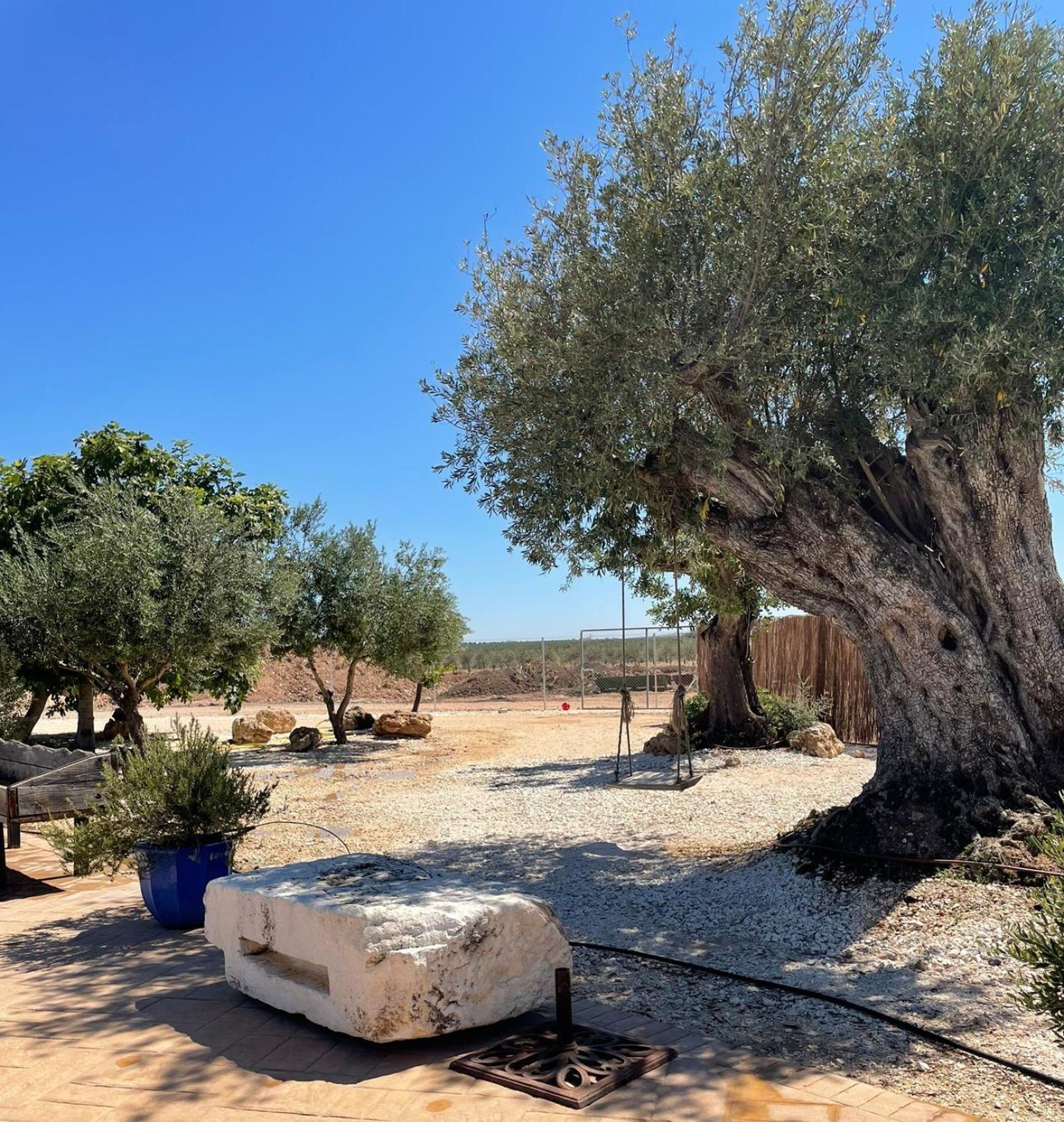 La Casa Del Olivo Villa Écija Exteriör bild
